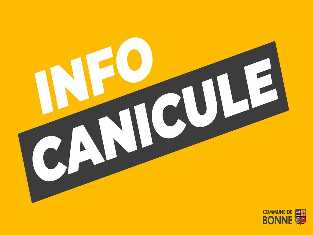 INFO CANICULE